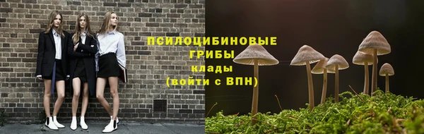 mix Новодвинск