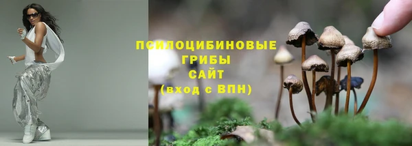 спиды Березники