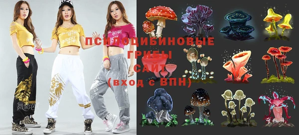 mix Новодвинск