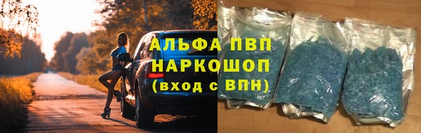 ешки Новокубанск